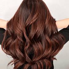 Dark brown hair with tawny highlights. 50 Stunning Highlights For Dark Brown Hair
