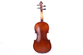 Image result for Viola eminii