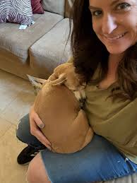 Sirius loves a good car ride!