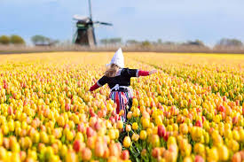 Only grocery stores and essential services will remain open. Questions About The Netherlands Definitive Guide Odyssey Traveller