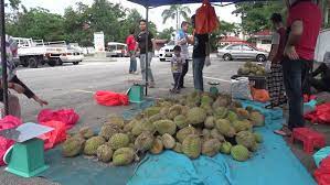 Am i going to get diabetics soon? Malaysia July 2017 Durian Stock Footage Video 100 Royalty Free 28753033 Shutterstock