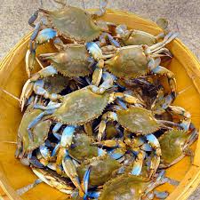 Shipped fresh from the chesapeake bay to your door! How To Buy Crabs Baltimore Sun