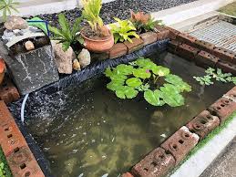 Find deals on small garden pond in outdoor decor on amazon. 25 Amazing Backyard Garden Waterfall Ideas Trees Com