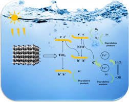 Three-Dimensional Structured NiFe2O4 Supported