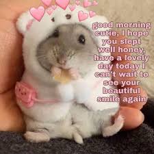 105 Good Morning Memes To Make Brighten Your Day Funzumo