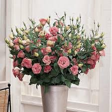 The lisianthus is the perfect flower to cut for bouquets and other flower arrangements. Abc 2 Rose Lisianthus