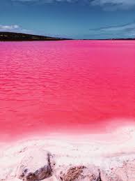 I Photographed The Magic Pink Lagoon In Western Australia Lago Rosa Natureza Cor De Rosa Australia