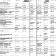 Image result for Agelanthus deltae