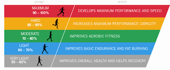 64 Skillful Heart Rate For Cardio Exercise Chart