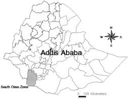 Image result for Achyrospermum schimperi