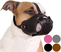 Rather, that is a descriptor of a group of breeds, one that. Staffordshire Terrier Pitbull Amstaff Basket Dog Muzzle Genuine Leather Black Amazon De Pet Supplies