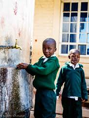 Image result for Megalochlamys hamata