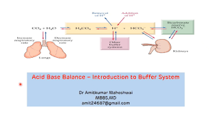 Introduction To Buffer System Regulation Of Ph Acid Base Balance Buffers In Biochemistry Youtube