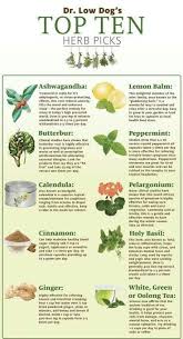 Herb List Herbs For Health Home Health Remedies Health Food