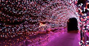 The Missouri Botanical Garden Lights Up The Holidays With Garden Glow Missouri Botanical Garden Family Friendly Event Holidays And Events