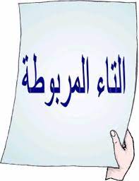 التاء المربوطة هي التاء التي تنطق هاء ساكنة عند الوقف عليها في آخر الكلمة وتوضع فوقها نقطتان للتفريق بينها وبي fruit basket gift arabic words fruit basket