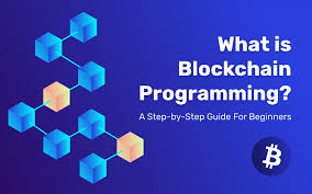 A blockchain is a growing list of records, called blocks, that are linked using cryptography. Blockchain Programming Step By Step Guide For Beginners With Code