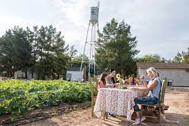 .most lovely outdoor dining spots when you're located at phoenix's the farm at south mountain. Take It Outside Patio Dining In Phoenix Phoenix Magazine