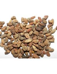 Image result for Voacanga africana