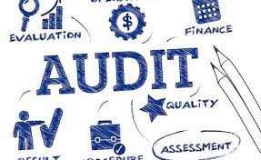 13 Types of Audit - Various types of Auditing used By Companies