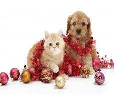 Cat Dog Christmas Decoration Jingle Bells Funny Pet Kitty Pup Cushion Cover 18 Christmas Cat Photos Kittens And Puppies Christmas Dog