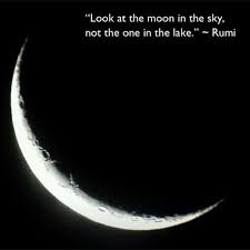 Rumi Surbeat Look At The Moon Rumi Quotes Rumi
