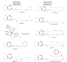 Image result for Capsaicin