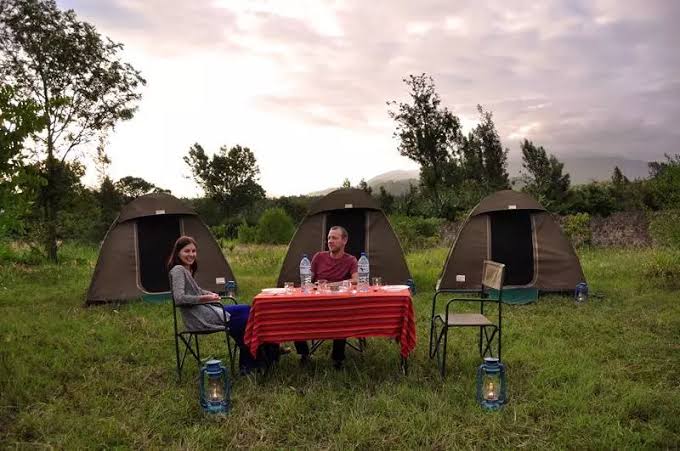 Kenya Budget Camping Safari: The Honest Cost (Including $200 Park Fees)