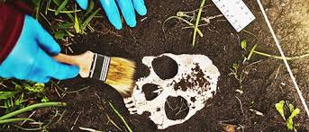 Ocme maintains a staff of skilled forensic anthropologists who utilize their expertise of the human skeleton when responding to death scenes and analyzing skeletal remains in the laboratory. Forensic Anthropology Of The Human Skeleton Continuing Studies At Uvic