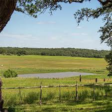 Experts offer tips about buying land in texas. Projects Of Southerland Communities Texas Land For Sale