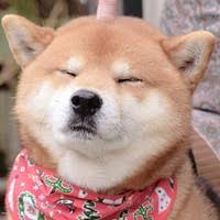 You can play club penguin without a membership but you really don't get to take full advantage of all the game features it has to offer. How To Get A Free Club Penguin Island Membership Quora