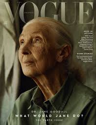 Magazine & Zeitschriften aus Indonesien