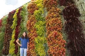 Find images of garden wall. Livewall Vertical Plant Wall System
