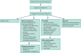 The Conservative Non Pharmacological Management Of Female Urinary Incontinence Saleh 2014 The Obstetrician Amp Gynaecologist Wiley Online Library