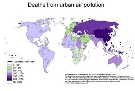 Who The Urban Environment