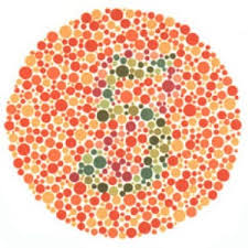 People do not see black. Image Segmentation Via K Means Clustering To Decipher Color Blindness Tests Najam R Syed