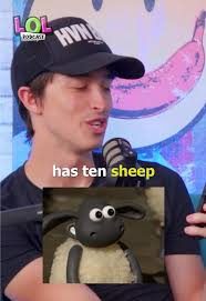 The Mystery of Six And A Half Sheep