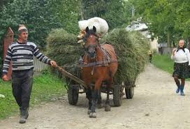 Image result for romanian peasants
