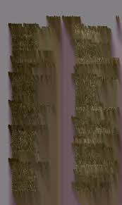 The Spirit of Christ