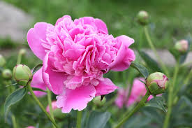 Töltse nálunk ön is a pünkösdi hosszú hétvégét. Ezek A Legjobb Punkosdi Programok Orszagszerte Szallas Hu Blog