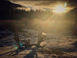 I M Blinded By The Lights Of October Skies These Postcard Memories Evade My Eyes And In The Valley I Am Free But October Sky Blinded By The Light Country Roads