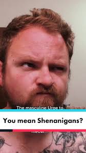 Johnny Chimpo approved #supertroopers #mangydog #fyp