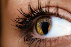 Round tends to have more of a half moon shape on both top and bottom, so it's like a football shape. What Is Coloboma Madeleine Mccann S Eye Defect What Causes It And How Rare Is It Here S All You Need To Know