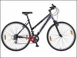 Rahmen Gebrochen Fahrrad Radforum De