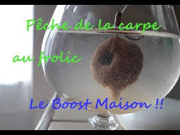 Peche De La Carpe Au Frolic Boost Maison Youtube