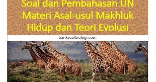 Check spelling or type a new query. Soal Dan Pembahasan Un Materi Asal Usul Makhluk Hidup Dan Teori Evolusi Bsb