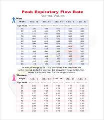 Peak flow can pick up changes in your airways, sometimes before you have any symptoms. Peak Flow Chart Templates 7 Free Pdf Documents Download Free Premium Templates