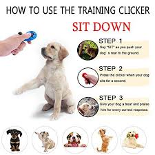 Chiachi 5 Piece Dog Training Clicker Deluxe Model With Wristband 2017 Dog Training Obedience Dog Training Dog Clicker Training