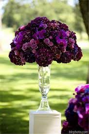 Dunno what flowers they are. Plum Purple Wedding Decorations Novocom Top