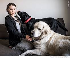 Greta Thunberg Animal Pug Chihuahua Labrador Greta Dog Selfie Beloved Dog